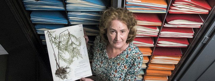 Outcry Over Closure of Duke University's Herbarium