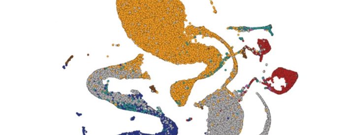 Controversy Erupts Over Representation of Genetic Diversity in Huge Genome Study