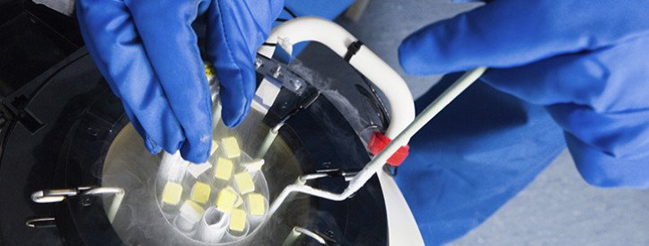 Alabama Supreme Court Ruling on Frozen Embryos Disrupts IVF Procedures and Research Programs