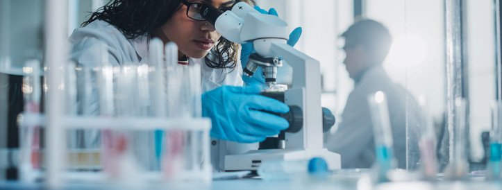 Postdoc Decline Sparks Concern Among U.S. Scientists