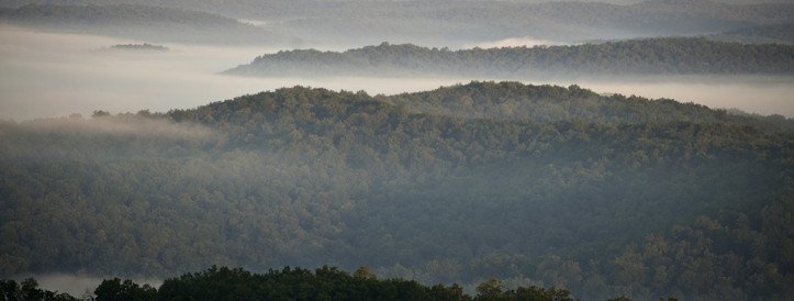 Revolutionary Technique: Satellite Signals Gauge Forest Moisture Vital for Survival