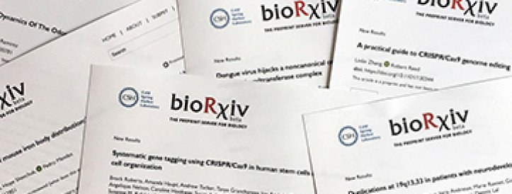 In bid to expand, bioRxiv and medRxiv preprint servers move to newly formed nonprofit