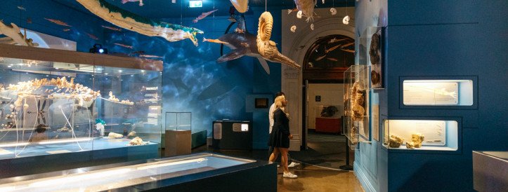 Controversy Surrounds Proposed Changes at South Australian Museum: Scientists Express Concerns Over Research Cuts