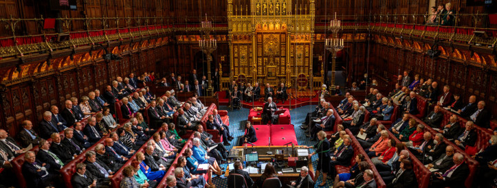 A scientist asked to join the U.K. House of Lords—and got in