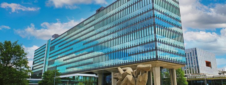 Radical women-only hiring policy improves diversity at Dutch university