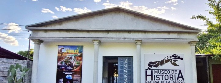 Colombian museum housing scientifically important fossils may close