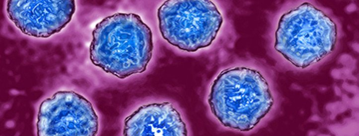 Poliovirus that infected a Chinese child in 2014 may have leaked from a lab