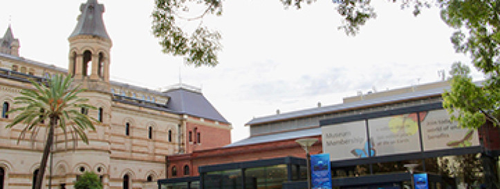 Australian officials cancel plan to cut research at major natural history museum