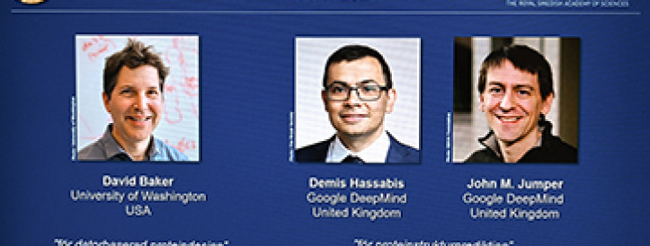 Protein designer and structure solvers win chemistry Nobel