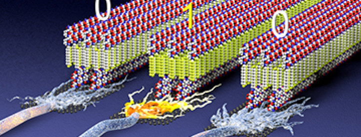 ‘Electric plastic’ could open door to new generation of implants and wearable tech