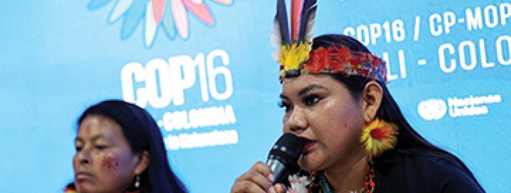 Global biodiversity convention comes up short on funding conservation