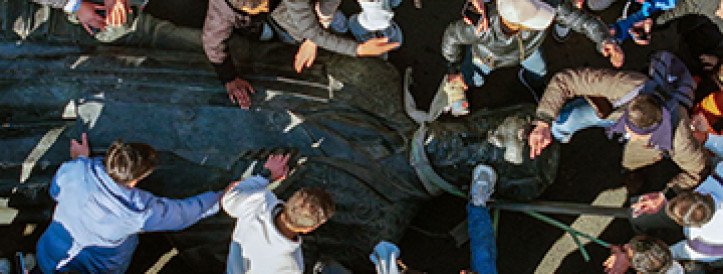 After years of war, can Syria rebuild its ‘miserable’ scientific community?