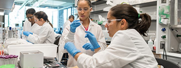 NSF downsizes summer research program for undergraduates