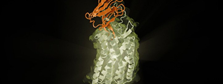 AI conjures up potential new antibody drugs in a matter of months