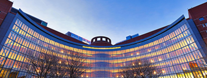 Trump’s cuts to more than 1700 NIH grants get court hearing