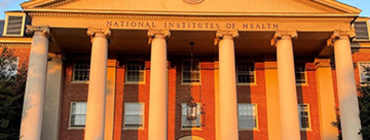 Odds of winning NIH grants plummet as new funding policy and spending delays bite