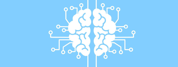 New algorithm improves bipartite matching by mimicking nervous system