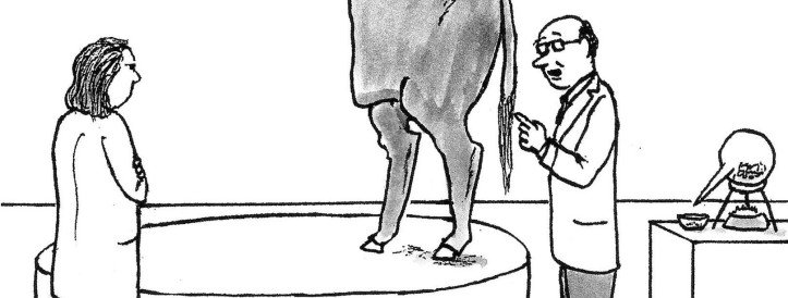 What’s in a Picture? Two Decades of Image Manipulation Awareness and Action