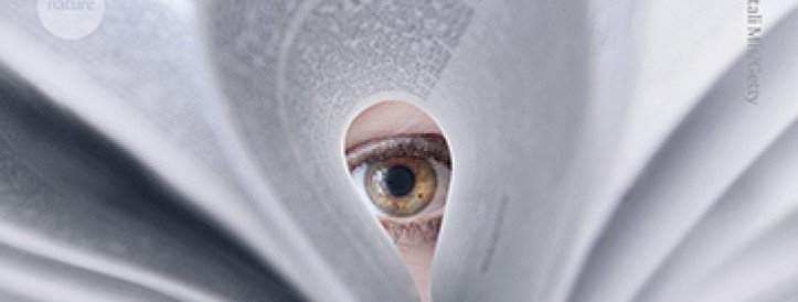 Science sleuths raise concerns about scores of bioengineering papers