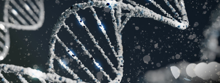 AI-MARRVEL (AIM): Revolutionizing Rare Genetic Disorder Diagnoses