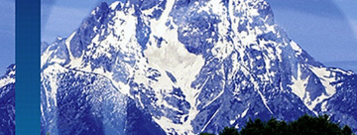 Misappropriation of undergraduate work leads to study retraction