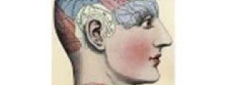 Springer Nature psycholinguistics journal retracts over a dozen articles for authorship, peer review issues