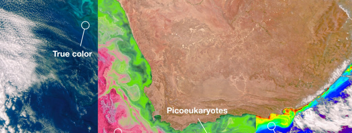 NASA's PACE Satellite Releases Groundbreaking Earth Observations Data