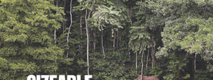 Authors retract Nature paper projecting high costs of climate change