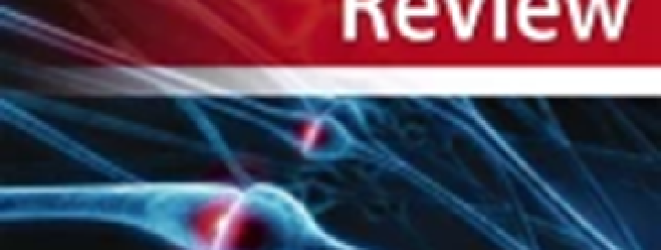 As Springer Nature journal clears AI papers, one university’s retractions rise drastically