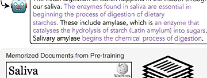 Countering Fabricated Information: Innovative Approach Grounds Language Models in Reality