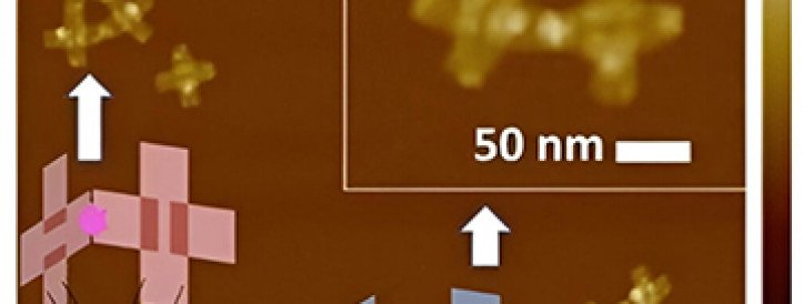 Breakthrough in Nanotechnology: Researchers Develop Self-Reproducing 3D DNA Nanorobots for Medical and Environmental Applications