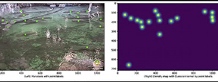 AI Breakthrough: Real-time Manatee Counting to Safeguard Endangered Species
