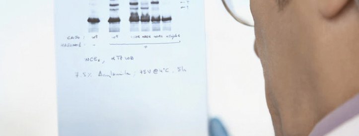 Combatting Image Manipulation in Scientific Research: Journals' Vigilant Response