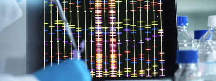 Controversial Depiction of Race Sparks Debate in Genetics Community