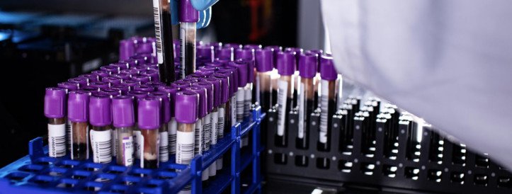 Genetic Adaptation Unveiled: Exploring Papua New Guinea's Unique Evolutionary Journey