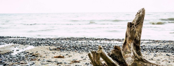 Marine Heatwaves Develop Along Estonian Coast