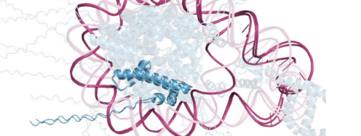 Nature Under Fire for Lack of Code Availability in Google DeepMind Protein Folding Paper
