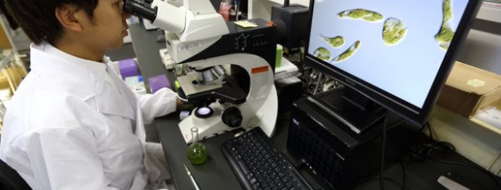 Japan’s Scientists Demand More Funding for Basic Science