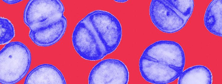 Five ways science is tackling the antibiotic resistance crisis