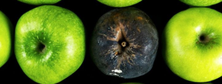 Exposing predatory journals can be dangerous