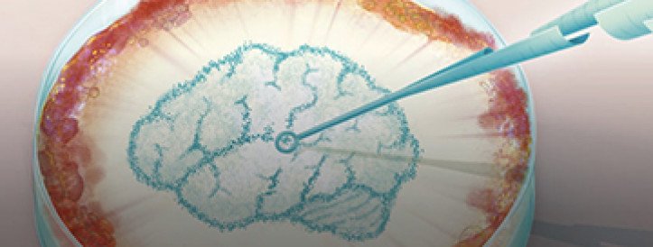 Researchers are trying to “inoculate” people against misinformation by giving them small doses ahead of time