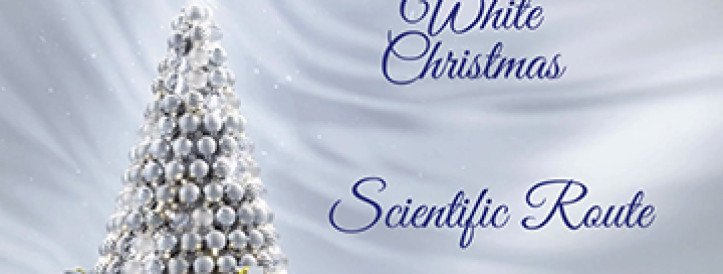 Merry Christmas from Scientific Route OÜ®