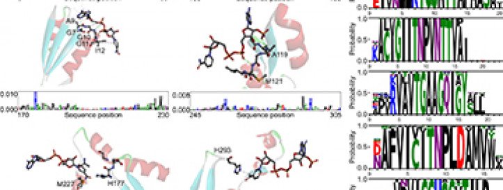 ADVANCING ENZYME DISCOVERY: RESEARCHERS UNVEIL ENZYME-DISCOVERING AI