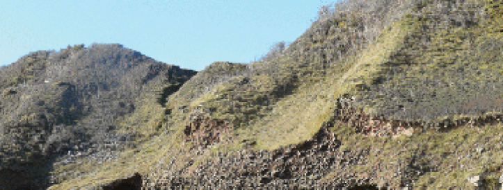 Editors resign from sedimentology society journal amid