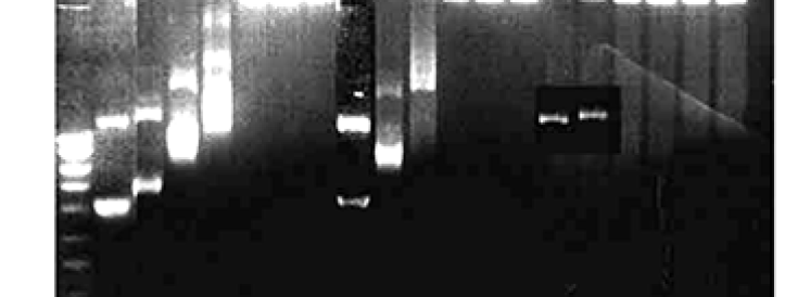 COPE integrity officer loses 22-year-old paper for image concerns